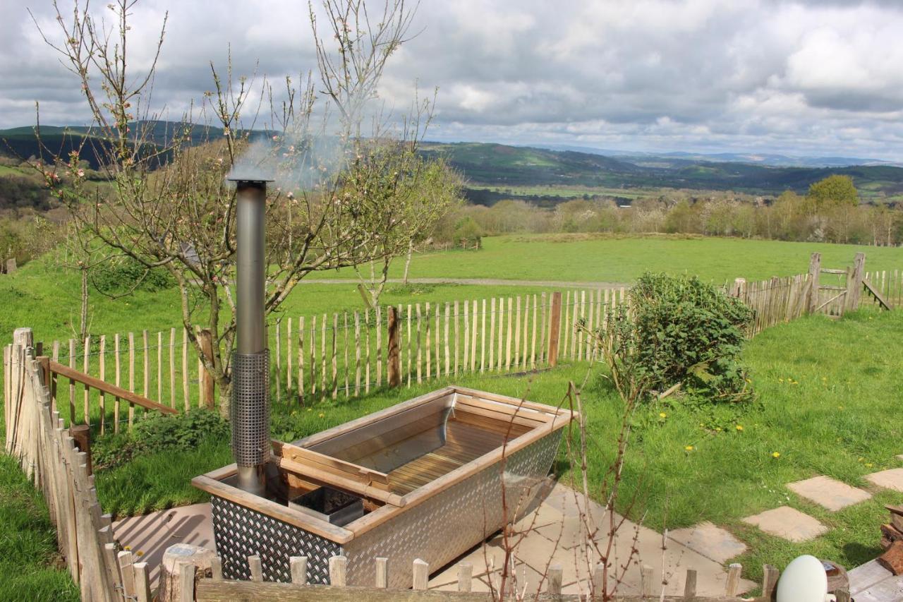 Treberfedd Farm Cottages And Cabins Lampeter Exterior foto