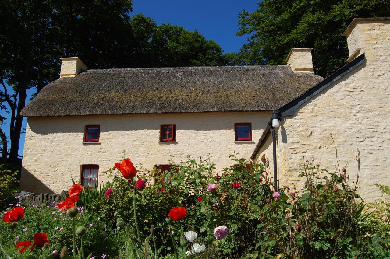 Treberfedd Farm Cottages And Cabins Lampeter Exterior foto